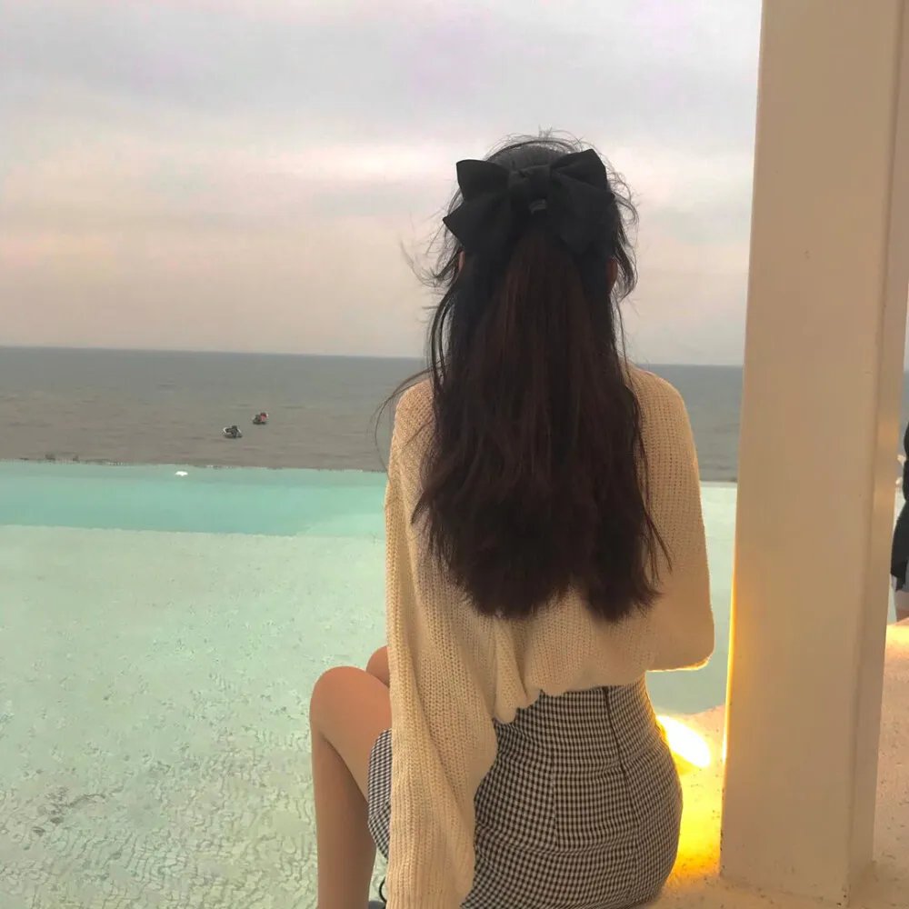 太平洋之翼海报